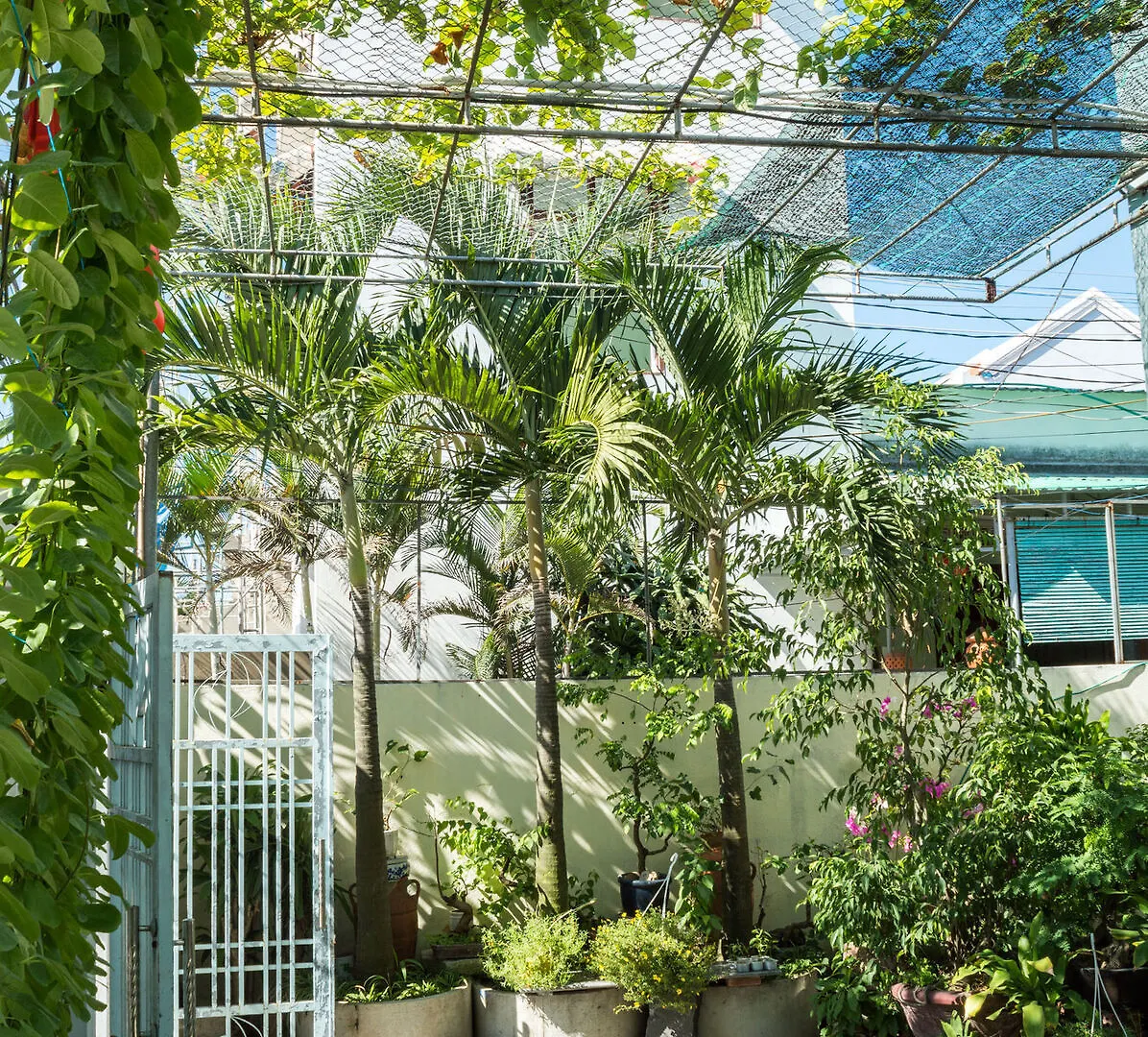Areca Homestay Hoi An